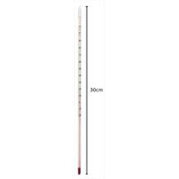 Crafty Cultures Glass Thermometer (30cm)